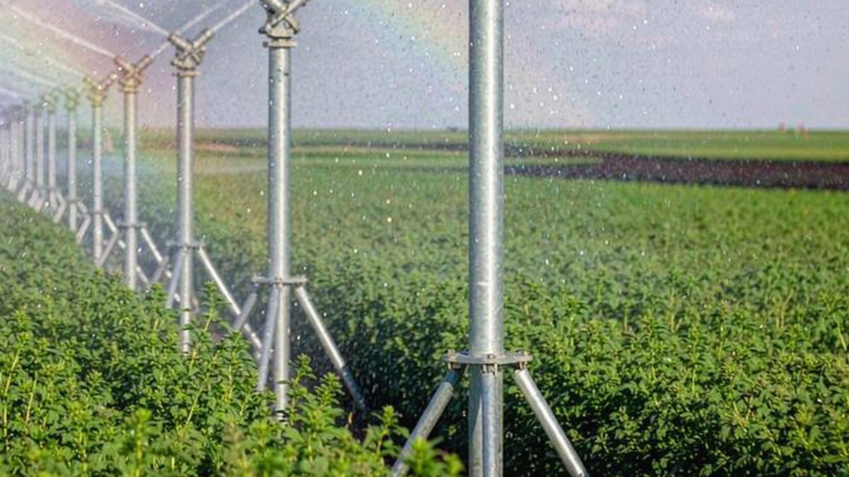 7 Common Hydrocyclone Filter Problems and How to Fix Them Fast